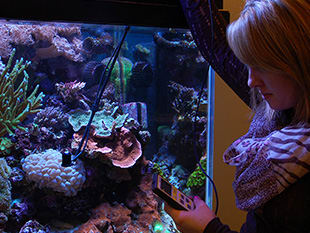 Quantum Meter; Aquarium Quantum Meter; Aquarium