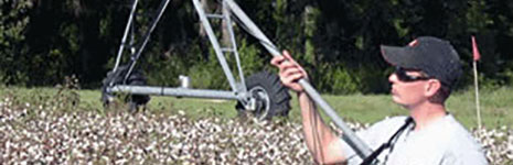 Reflectance Measurements in Cotton Fields Reflectance Measurements in Cotton Fields