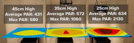 Determining Grow Light Position Using a PAR Meter Determining Grow Light Position Using a PAR Meter