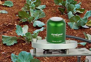 Learn more about NDVI sensors.