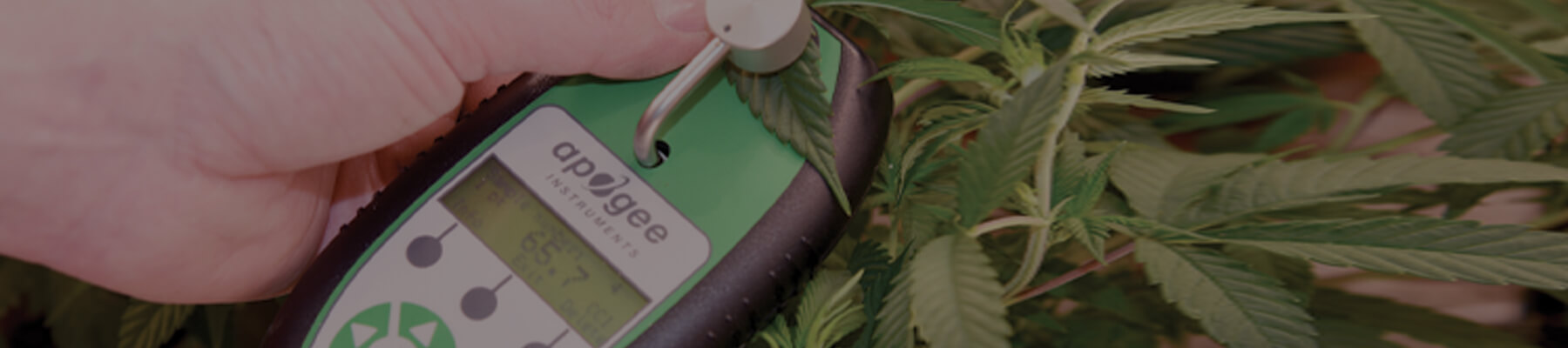 Apogee Instruments chlorophyll concentration meters have over thirty-five species-specific settings for better accuracy in determining absolute chlorophyll.