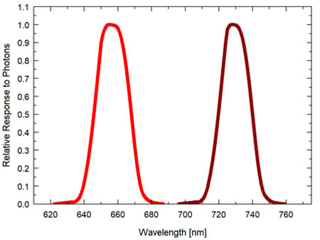 Graph showing the spectral response of the red - far-red sensor (spectral range of 645 to 665 nm  5 nm (red) and 720 to 740 nm  5 nm (far-red)).