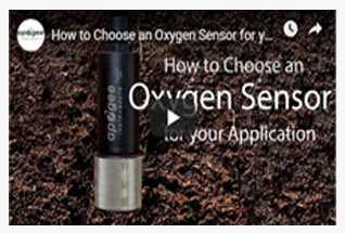 Watch videos to learn more about our oxygen sensors.