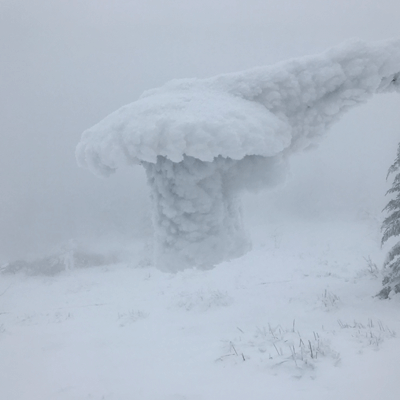 TS-100 aspirated radiation shield entirely covered in ice but still working perfectly.