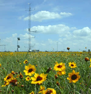 Infrared radiometers collecting temperature data Infrared radiometers collecting temperature data