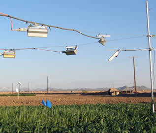 Apogee's infrared radiometers provide the data for heat treated field Apogee's infrared radiometers provide the data for heat treated field