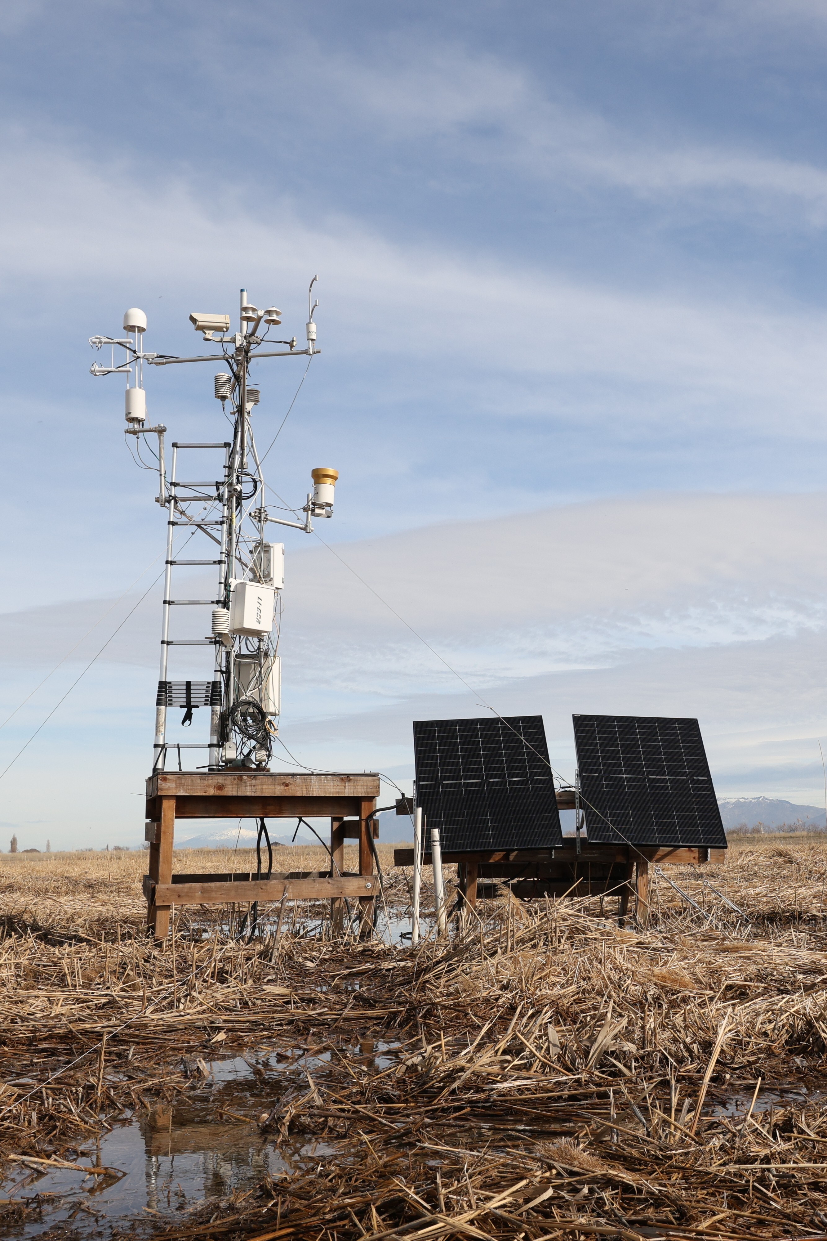 Farmington research station in the phragmites